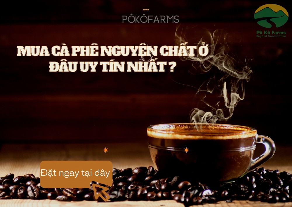 cà phê nguyên chất pokofarms